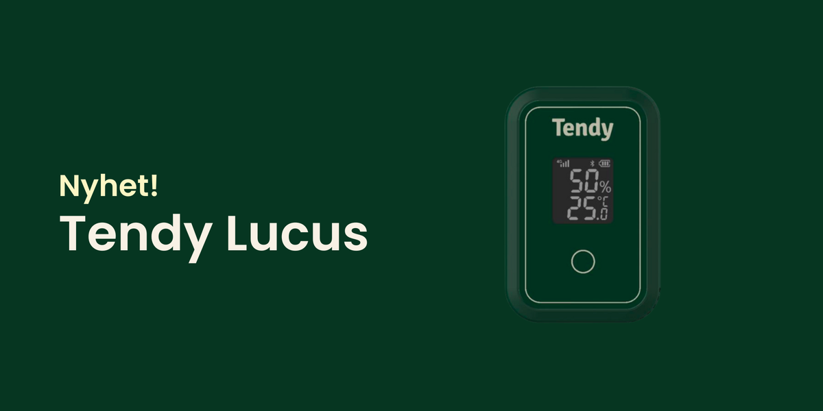 Tendy